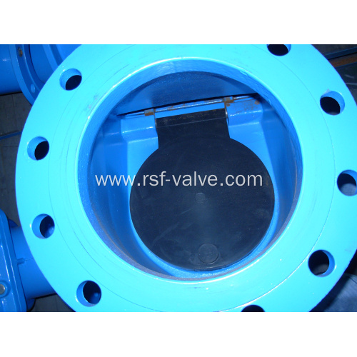 Rubber Capsuled Disc Swing Check Valve